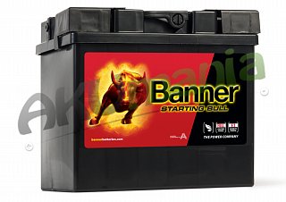 Akumulator Banner Starting Bull 12V 30Ah 300A L+ 53034