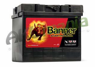 Banner Starting Bull 12V 30Ah 300A 53030
