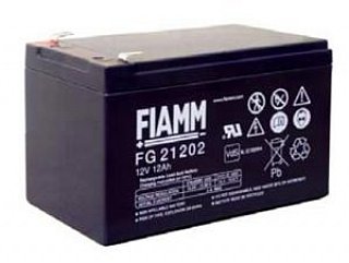 FIAMM FG21202 12V 12Ah